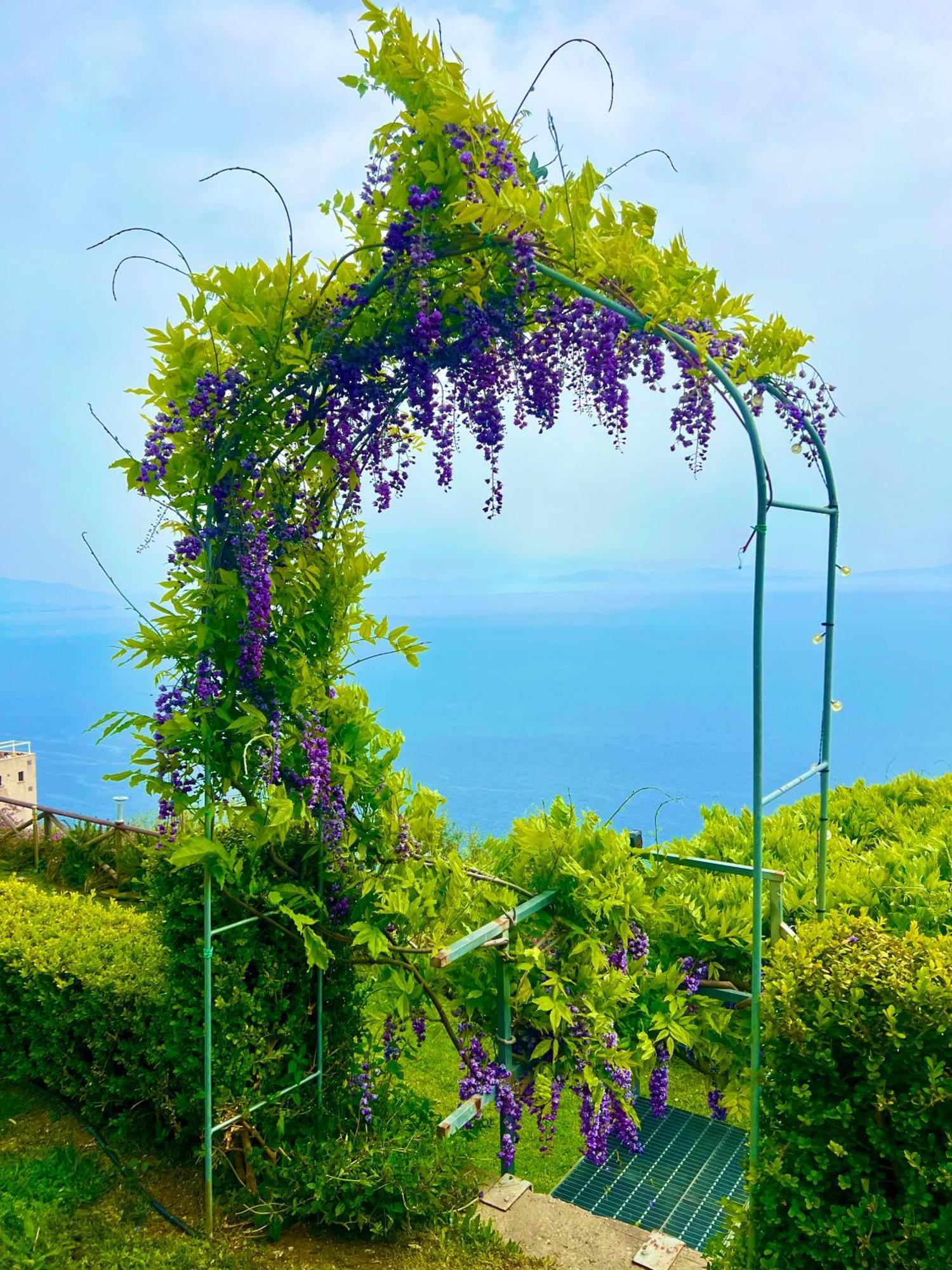 B&B Il Pavone Conca dei Marini Exterior photo